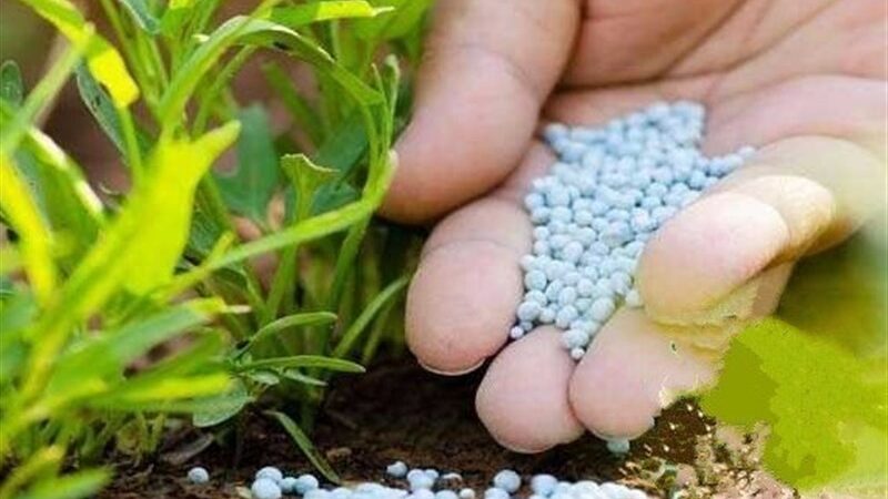 توزیع ۸۶ درصد کود شیمیایی سهمیه چهارمحال و بختیاری؛ کشاورزان در انتظار تکمیل سهمیه!