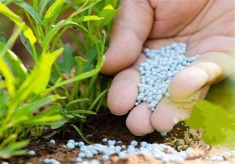 توزیع ۸۶ درصد کود شیمیایی سهمیه چهارمحال و بختیاری؛ کشاورزان در انتظار تکمیل سهمیه!