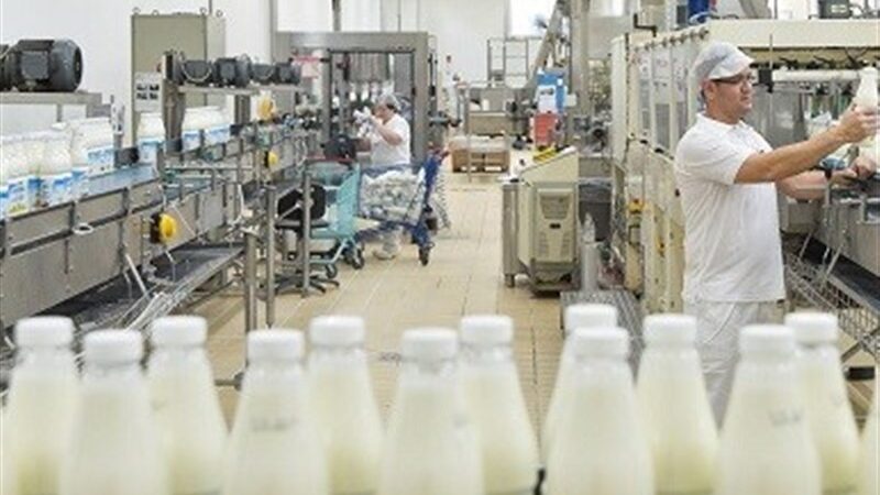 دولت وارد میدان شد؛ وعده کاهش قیمت لبنیات و تهدید جدی به صنایع گرانی!