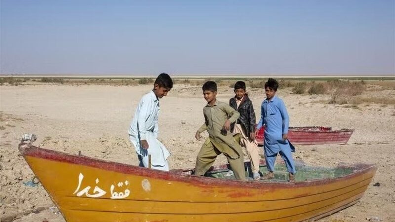 سیستان هنوز برای موج آب‌های پرامید آماده نیست؛ هشدار کارشناس ارشد کشاورزی