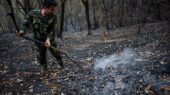 آتش‌سوزی‌های محدود در جنگل‌های شرق گلستان خاموش شد