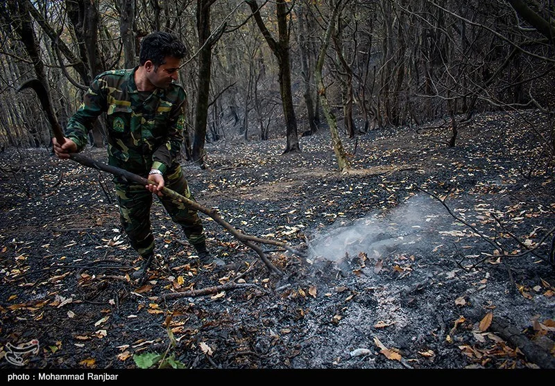 آتش‌سوزی‌های محدود در جنگل‌های شرق گلستان خاموش شد