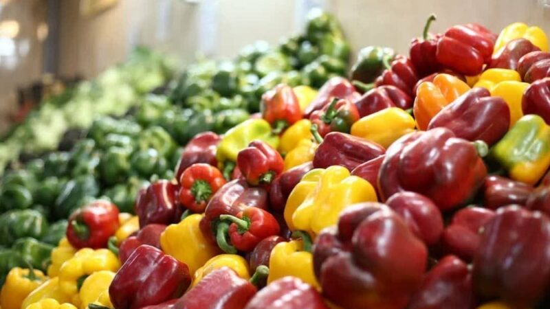 افتتاح ۵ بازار میوه و تره‌بار تازه در تهران؛ وعده ۱۰ بازار جدید تا اردیبهشت ۱۴۰۵