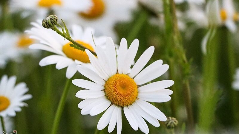 در روزگار سخت، بخشش واقعی چه قیمت دارد؟ راز ایثاری که اقتصاد نمی‌شناسد!