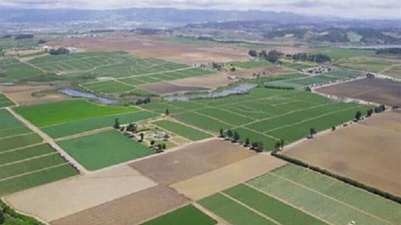 خطر بزرگ خُرد شدن زمین‌ها در ایلام؛ معیشت نصف جمعیت استان در معرض تهدید!