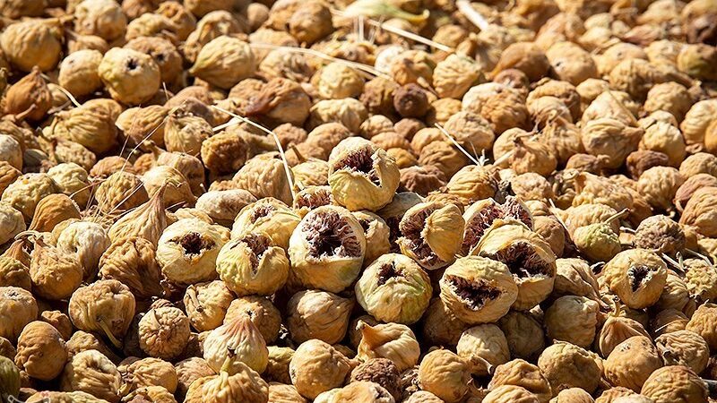 چرا قیمت خشکبار در مشهد قبل از یلدا به شکل عجیبی ثابت مانده؟