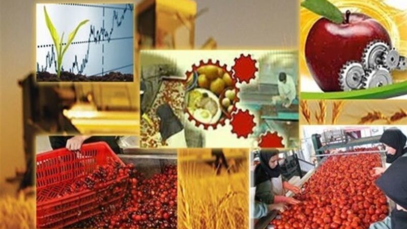 دومین نمایشگاه صنایع تبدیلی مازندران؛ رونمایی از فرصت‌های نوین کشاورزی در قلب شمال ایران