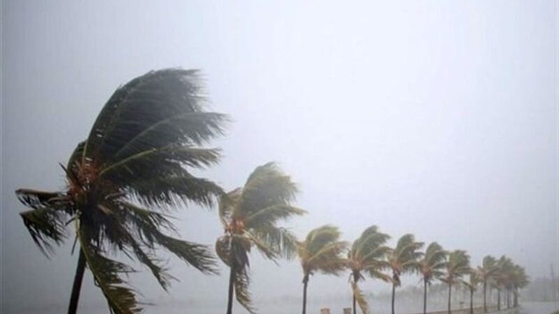 ثبت رکورد بی‌سابقه بارش 43.5 میلیمتری در عسلویه؛ سامانه بارشی استان بوشهر را فراگرفت