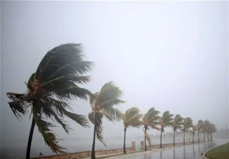 ثبت رکورد بی‌سابقه بارش 43.5 میلیمتری در عسلویه؛ سامانه بارشی استان بوشهر را فراگرفت