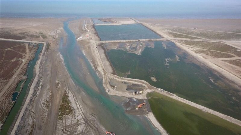 خلیج گرگان زیر سایه وعده‌های بی‌عمل؛ نفس‌های آخر در محاصره خشکی!