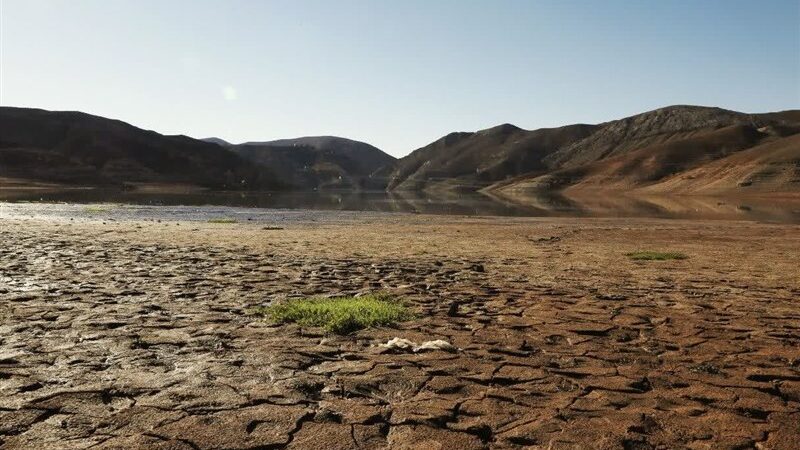 هشدار استاد دانشگاه درباره بحران خاموش کشاورزی؛ آیا آب باید رایگان شود؟