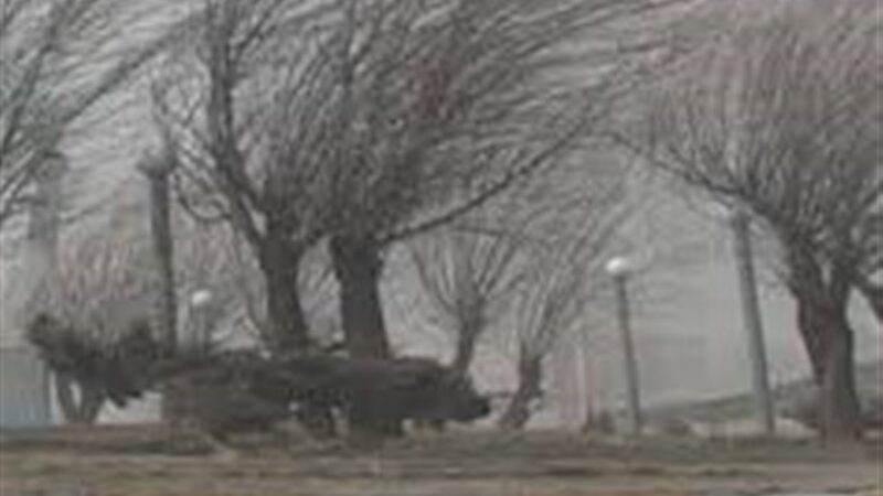 ثبت تندباد 94 کیلومتری در نیر