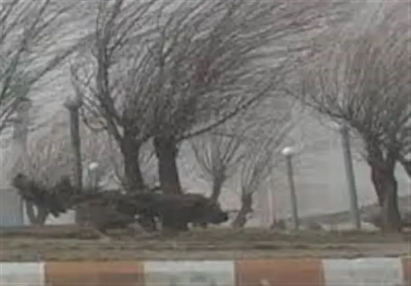 ثبت تندباد 94 کیلومتری در نیر