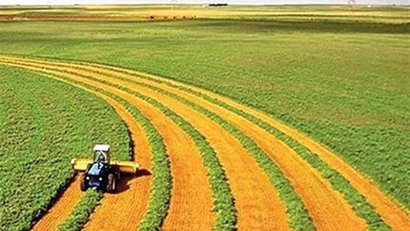ضوابط جدید کشت فراسرزمینی اعلام شد؛ فرصت طلایی کشاورزان ایرانی برای توسعه فراتر از مرزها