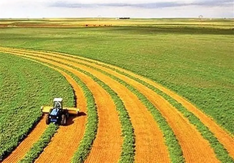 ضوابط جدید کشت فراسرزمینی اعلام شد؛ فرصت طلایی کشاورزان ایرانی برای توسعه فراتر از مرزها