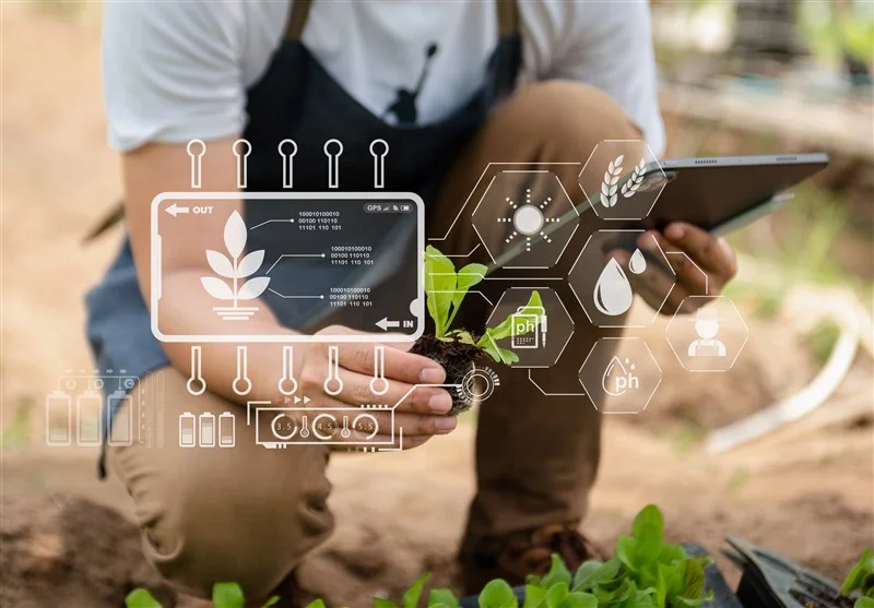 نمایشگاه الکامپ مازندران با نگاه تحولی برپا می‌شود - وب‌گردی