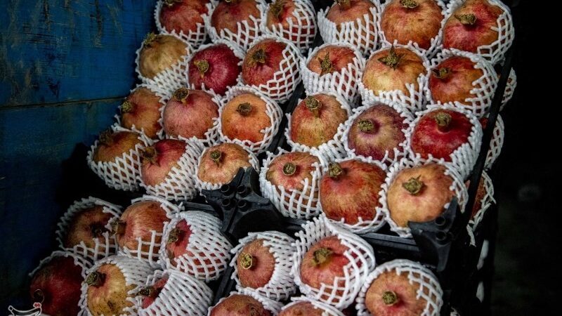 یلدایی تلخ در کردستان؛ بازار میوه بی‌مشتری و قیمت‌های سر به فلک کشیده