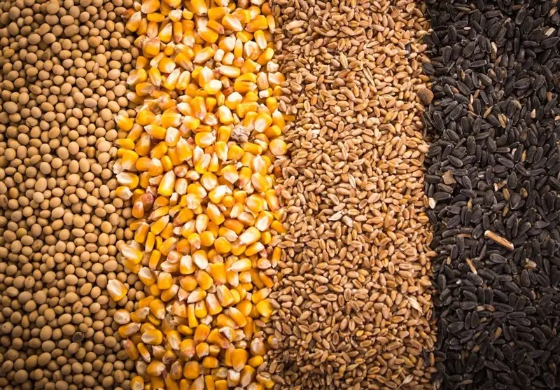 هشدار جهاد کشاورزی درباره تبعات تفویض اختیار در واردات آزاد کالاهای اساسی!