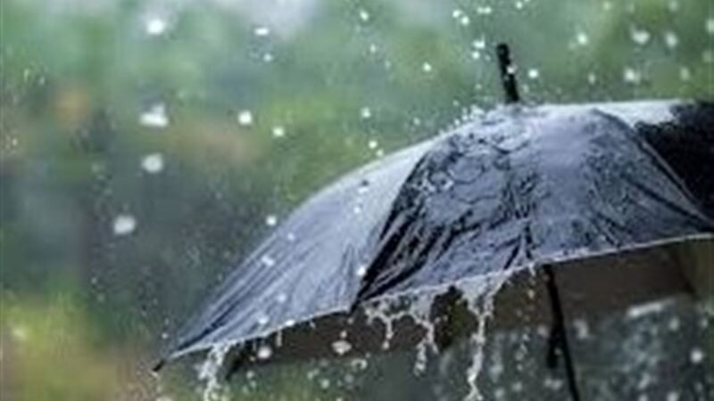 باران بی‌سابقه 59 میلیمتری در خارگ؛ رکوردشکنی در بارش‌های استان بوشهر