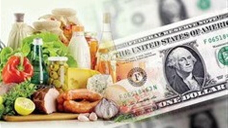 جزئیات حیرت‌انگیز تأمین 9 میلیارد دلار ارز ترجیحی در 9 ماهه 1404 فاش شد!