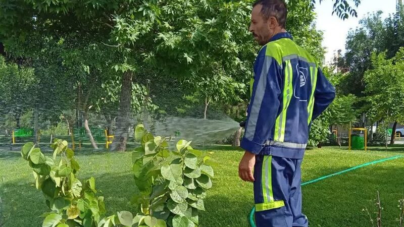 آبیاری ۶۰ درصد فضای سبز مشهد با پساب شهری؛ پروژه‌ای که تغییر بزرگی رقم زد!