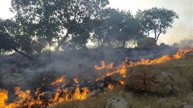 انتقاد نمایندگان از گزارش آتش‌سوزی جنگل‌های هیرکانی