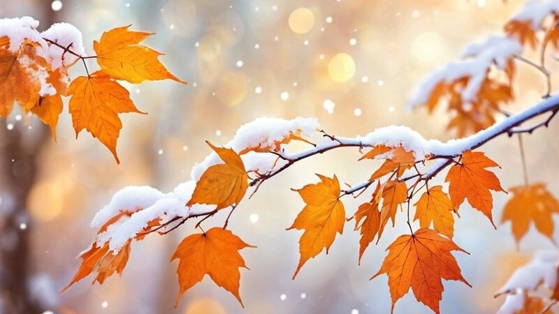 هواشناسی ایران1404/9/10؛ فعالیت سامانه بارشی در 26 استان تا آخر هفته