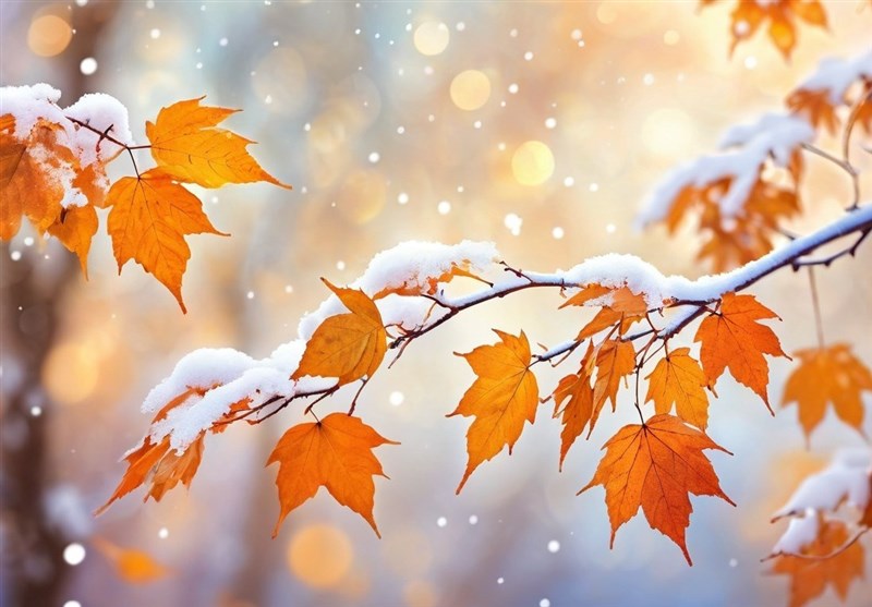 هواشناسی ایران1404/9/10؛ فعالیت سامانه بارشی در 26 استان تا آخر هفته