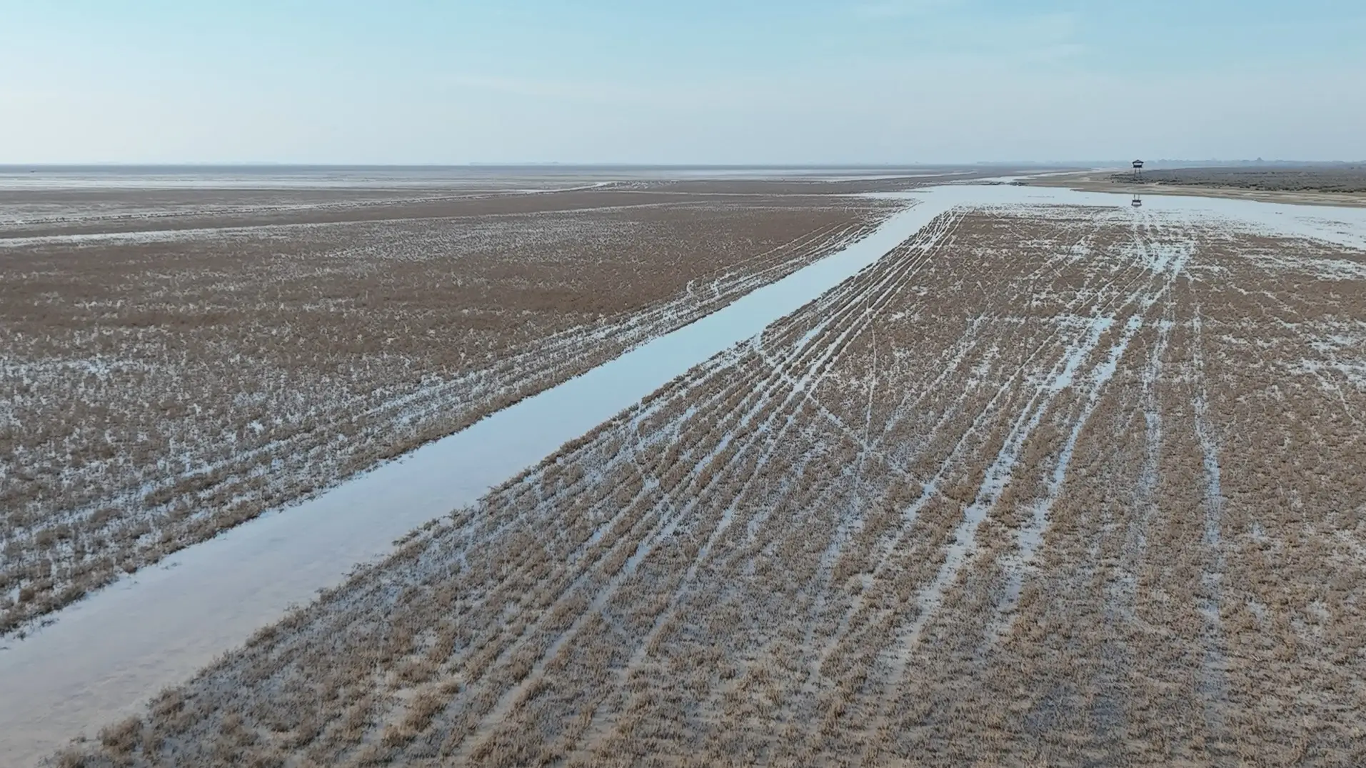 تهدید جدی تالاب میانکاله؛ آلودگی‌های پنهان از آتش‌سوزی تا گرد و غبار خارجی!