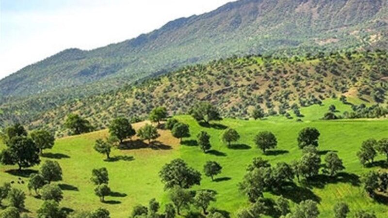 ممنوعیت ورود وسایل نقلیه موتوری به مناطق چهارگانه حفاظت‌شده استان؛ گامی حیاتی برای نجات طبیعت