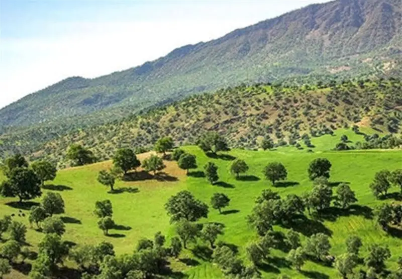 ممنوعیت ورود وسایل نقلیه موتوری به مناطق چهارگانه حفاظت‌شده استان؛ گامی حیاتی برای نجات طبیعت