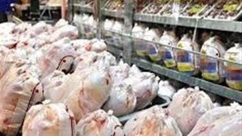 قیمت جدید مرغ منجمد 125 هزار تومان؛ نظارت شدید بازرسان در فروشگاه‌ها آغاز شد!