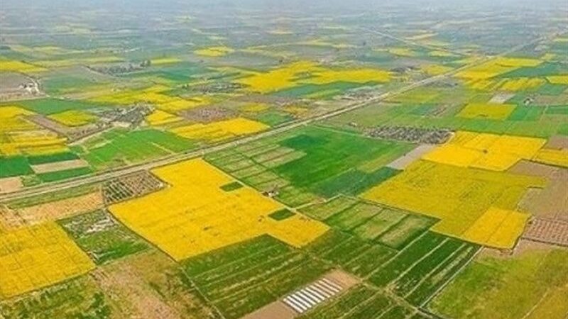 برای اولین بار در کشور؛ اسناد ۵۸۱۳ هکتار زمین دولتی خراسان شمالی به کشاورزان واقعی واگذار شد