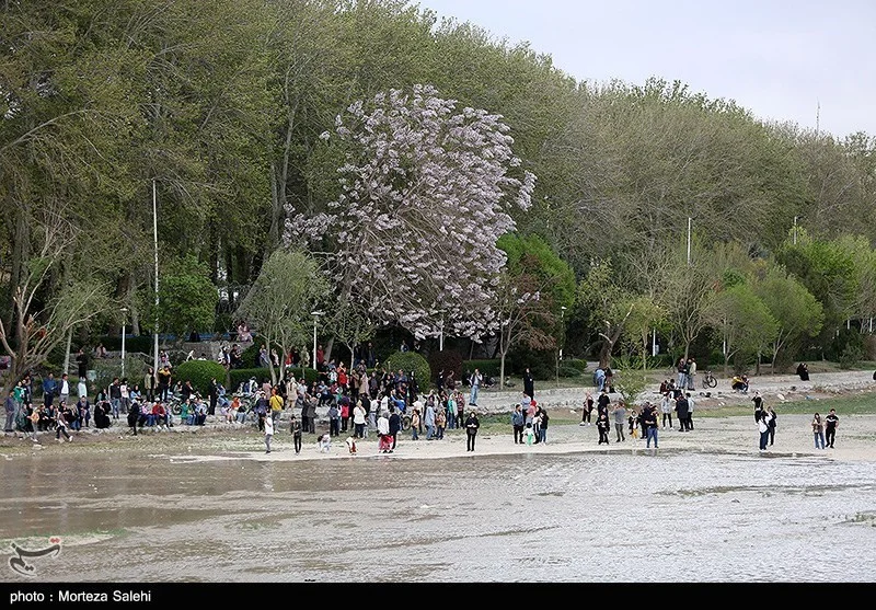 تأمین حق‌آبه زاینده‌رود یک وظیفه ملی و به‌عهده وزارت نیروست