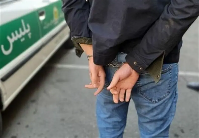 کاهش 12 درصدی وقوع سرقت در استان بوشهر