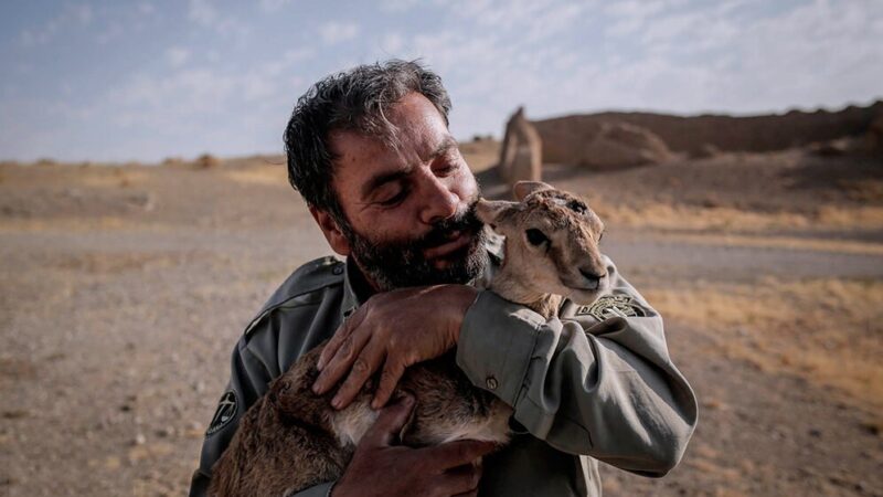 سازمان حفاظت محیط زیست 800 محیط‌بان جدید جذب کرد