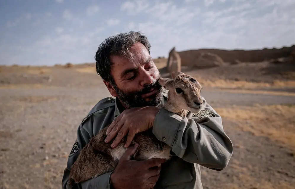 سازمان حفاظت محیط زیست 800 محیط‌بان جدید جذب کرد