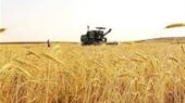 رشد شگفت‌انگیز 136 درصدی اعتبارات سرمایه‌ای کشاورزی در چهارمحال و بختیاری!