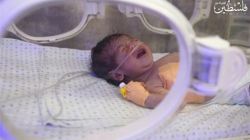 راز سلامت نوزادان نارس پس از ترخیص؛ چرا مراقبت مستمر حیاتی است؟