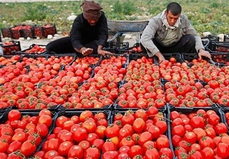 افتتاح ۵ روستابازار جدید در گلستان؛ تحولی بزرگ در توزیع کالاهای اساسی