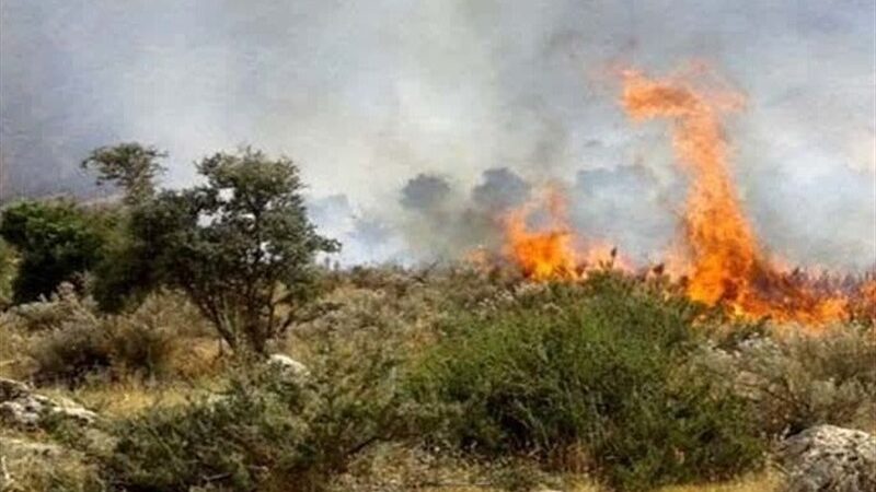 کاهش چشمگیر آتش‌سوزی در جنگل‌های زاگرس؛ آیا قلب سبز ایران نفس تازه‌ای گرفت؟