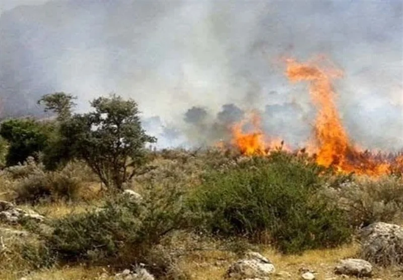 شکارچیان غیرمجاز مظنون اصلی آتش‌سوزی مهیب جنگل الیت شدند!