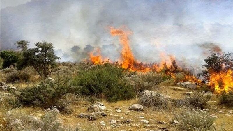 آتش مهیب در پارک ملی گلستان؛ بی‌توجهی گردشگران 2 هکتار جنگل را در شعله‌ها فرو برد