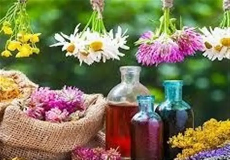 افزایش چشمگیر تولید گیاهان دارویی در هرمزگان؛ رسیدن به 9 هزار تن سالانه - وب‌گردی