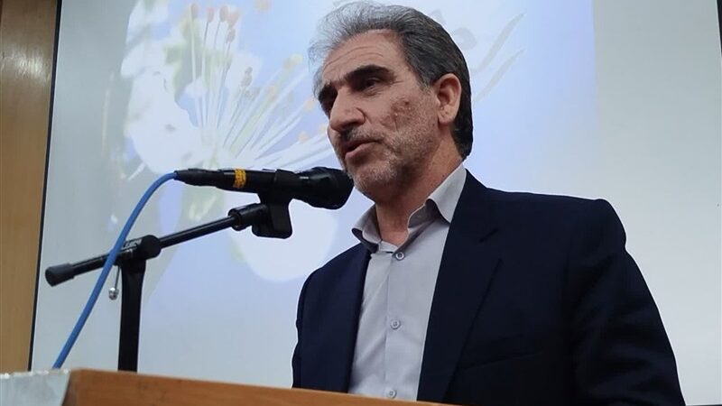 رکوردشکنی حیرت‌آور جوجه‌ریزی در ایلام؛ تولید گوشت مرغ ۳ برابر نیاز استان شد!