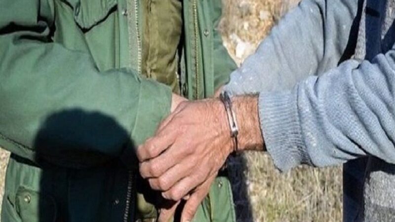 دستگیری متخلف شکار غیرمجاز قوچ وحشی در اشکذر؛ پیام قاطعیت در حفاظت از حیات‌وحش