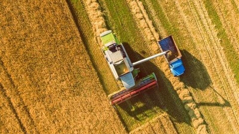 امهال 120 میلیارد تومان تسهیلات؛ نفس تازه کشاورزان چهارمحال و بختیاری در بحران خشکسالی