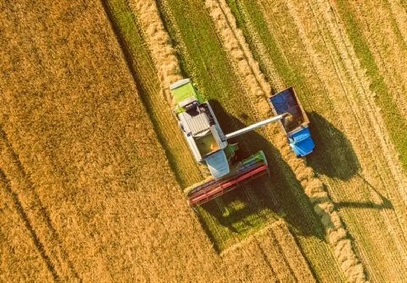 کاهش بی‌سابقه بارندگی در خراسان شمالی؛ 97 هزار هکتار گندم دیم زیر کشت می‌رود!