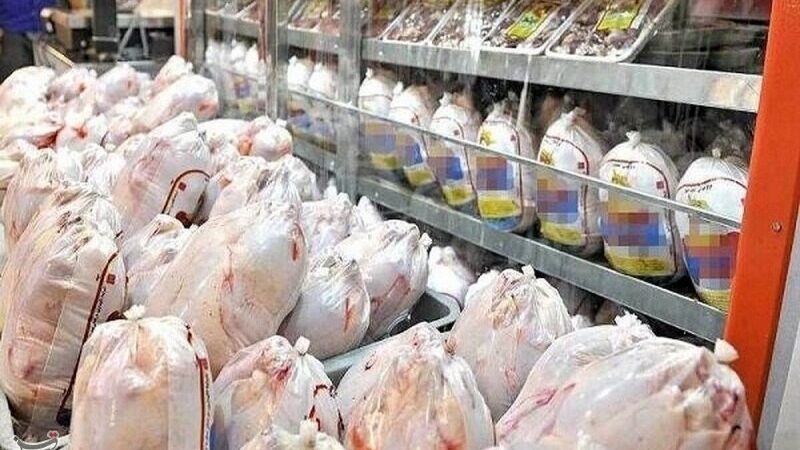 قیمت مرغ گرم در فارس رسماً ۱۵۵ هزار تومان؛ بازار آرام و عرضه بدون محدودیت!