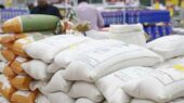ورود گسترده برنج‌های پاکستانی و هندی با کیفیت به بازار استان مرکزی؛ قیمت‌ها در کنترل کامل!